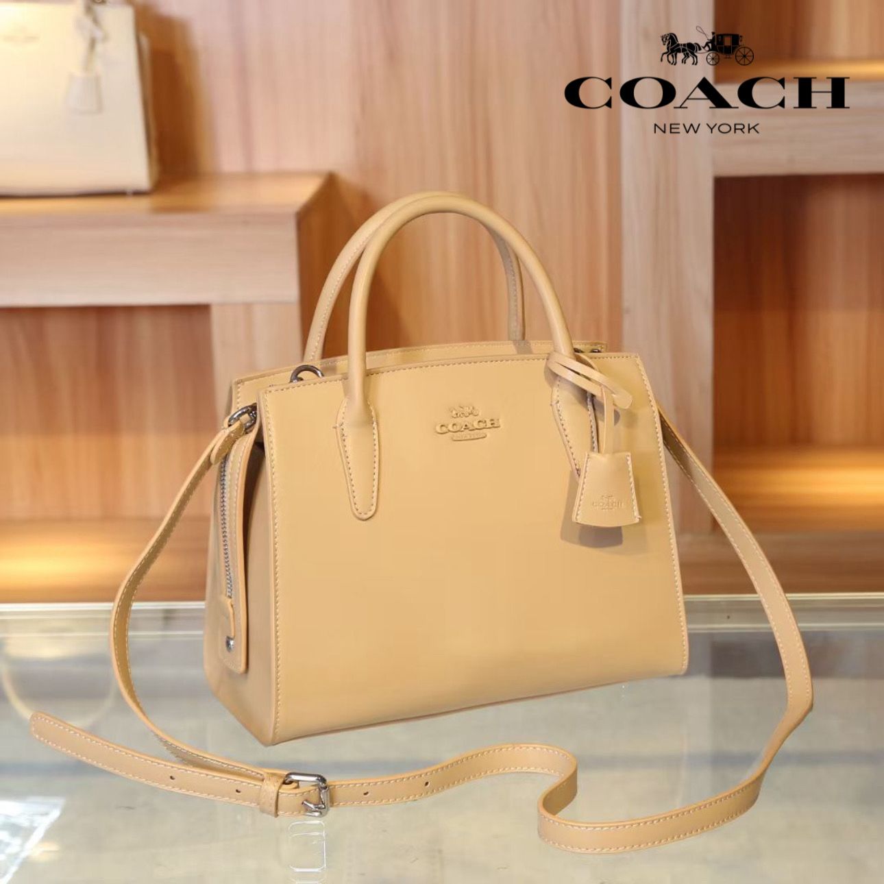 COACH Andrea Carryall Shoulder bags
